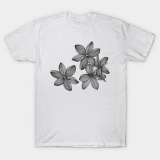 Drawn Floral Background T-Shirt